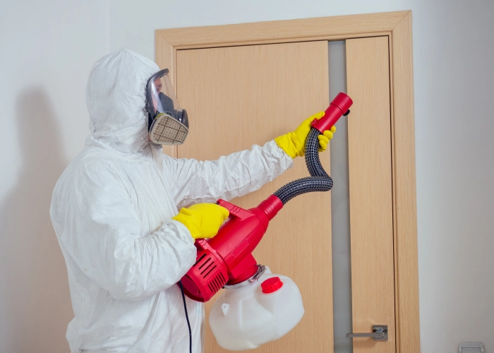 Trattamento contro le cimici dei letti a Sassari 07100