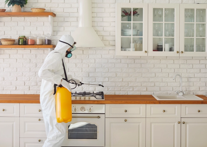 Trattamento contro le cimici dei letti a Desio 20832