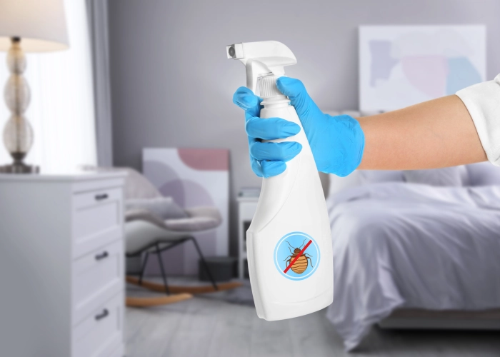 Trattamento contro le cimici dei letti a Acireale 95024