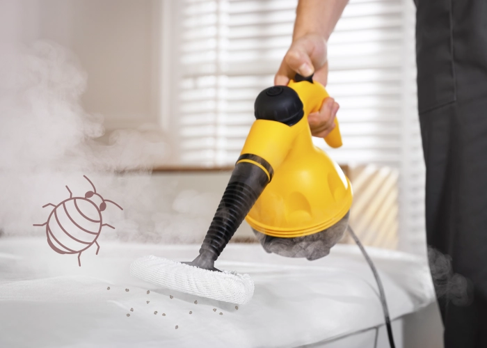 Trattamento contro le cimici dei letti a Cava de' Tirreni 84013